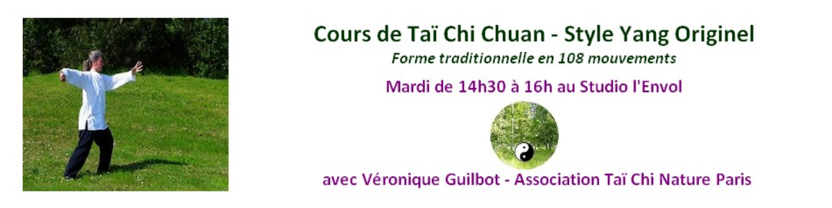 Cours de Taï Chi Chuan style Yang originel à Paris 75005
